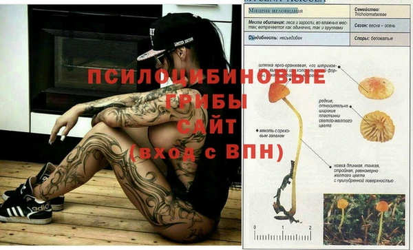 кокаин Богданович