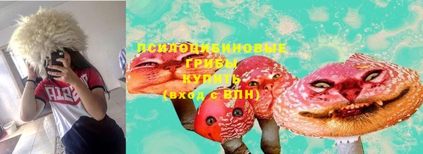 MDMA Богородицк