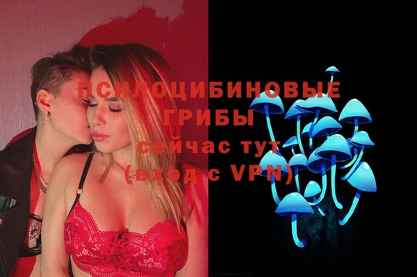 кокаин Богданович