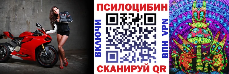 Псилоцибиновые грибы Cubensis  где купить наркоту  Наро-Фоминск 
