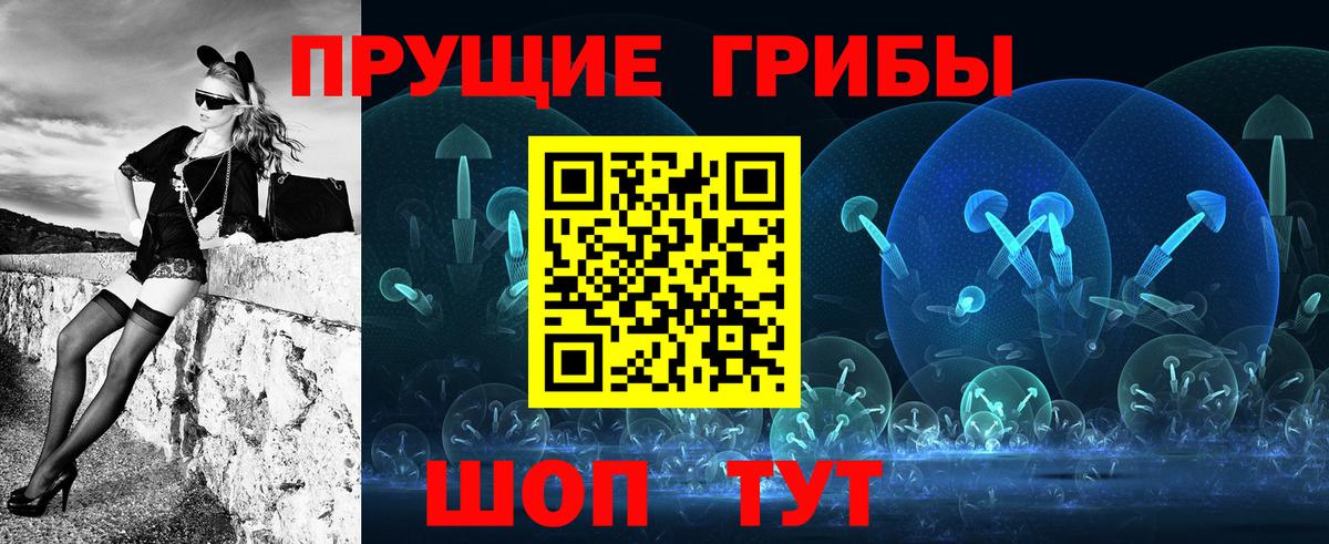 Галлюциногенные грибы Psilocybe Наро-Фоминск